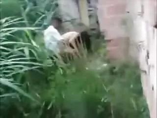 甜美的gal去了湖边