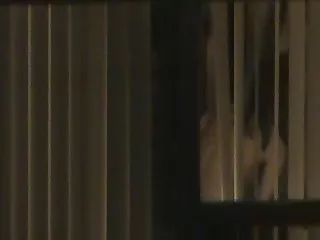 桃红色玩具乱搞在关闭的逗人喜爱的驴子