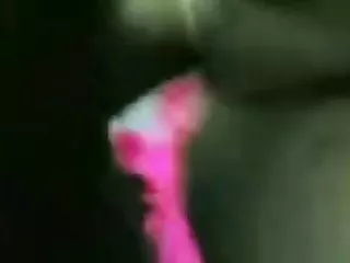 巨大的山雀青少年与辫子